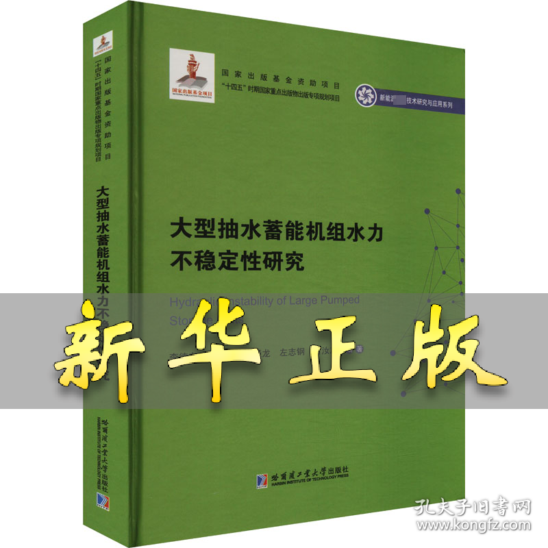 大型抽水蓄能机组水力不稳定性研究 李德友 等 编 9787576705133 哈尔滨工业大学出版社