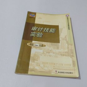 审计技能实验