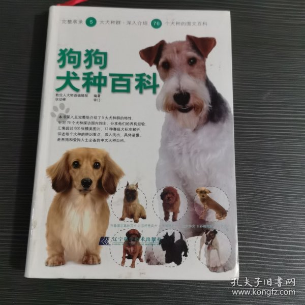 狗狗犬种百科