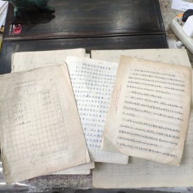 少数民族语言文字研究资料《龙胜花瑶》相关资料底稿 多份一组，包括龙胜各村语言情况、瑶族勉语变异调查方案、龙胜瑶语变异的社会因素的统计分析方案、龙胜花瑶社会调查表、广西龙胜平等留力大茅坪声韵调配合表