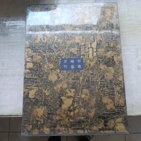 水墨新象:王继平作品集:a selection of the works by Wang Jiping(带封膜)