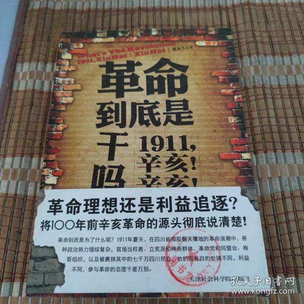 革命到底是干吗？：1911，辛亥！辛亥！