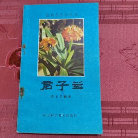 君子兰