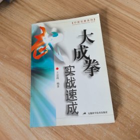 大成拳实战速成