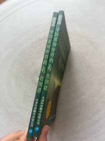 中国常用中草药彩色图谱 上中 【2册合售】