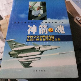 神箭之魂:中国空空导弹研究院总设计师董秉印回忆文集