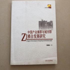 中国产业集群与城市群耦合发展研究
