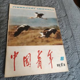 中国青年1981年第8期。