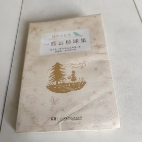 一篮云杉球果