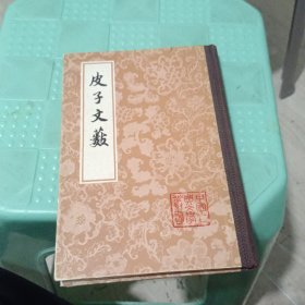 皮子文薮(只印500册)