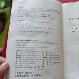 IP知识产权专题研究书系：知识产权行政保护新态势研究  有点水印