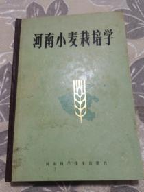 河南小麦栽培学