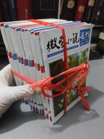 微型小说选刊 2020 （23本合集）