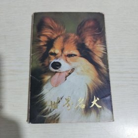 明信片世界名犬 13张