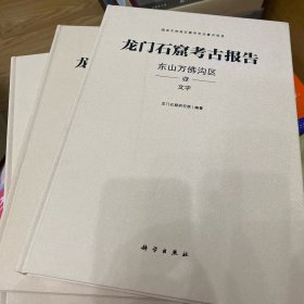 龙门石窟考古报告 东山万佛沟区