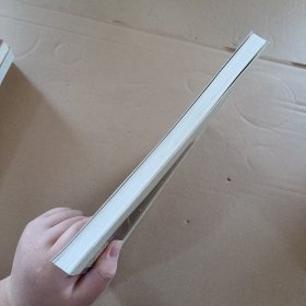 中国高级工商管理丛书·CEO人力资源管理与开发