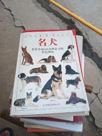 名犬：全世界300多种名犬的彩色图鉴