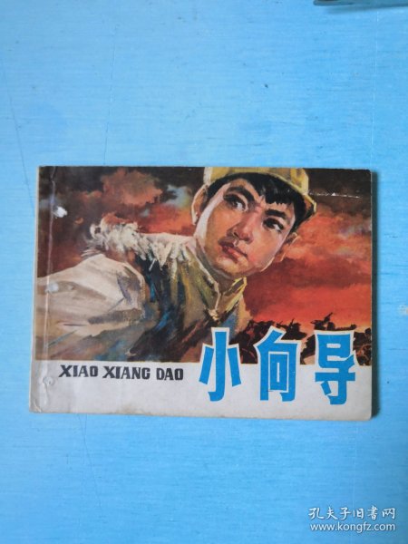 小向导