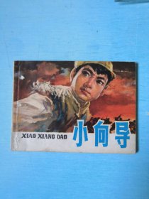小向导