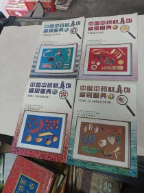 中国中药材真伪鉴别图典（1-4册）（书棱，前后皮边破，前后几页有黄斑，第1本后面3-4页有点粘在一起，内容完整，品相如图）