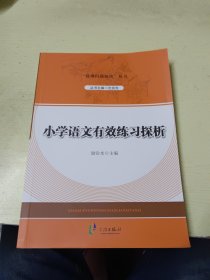 “疑难问题解决”丛书：小学语文有效练习探析