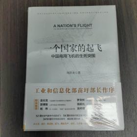 一个国家的起飞：中国商用飞机的生死突围