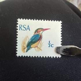 S302南非1969年 侏儒鸟 新 1枚 小票