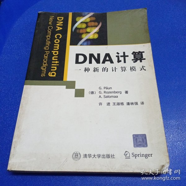 DNA计算：一种新的计算模式