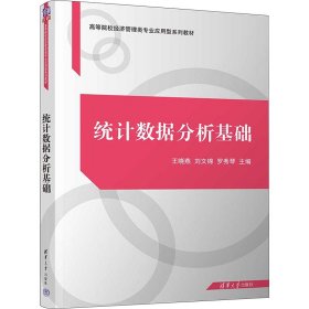 保正版！统计数据分析基础9787302640158清华大学出版社王晓燕,刘文锦,罗秀琴 编