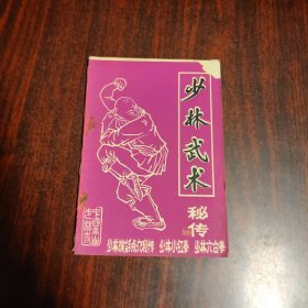 少林武术秘传