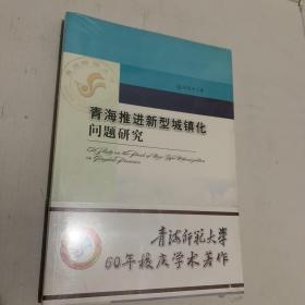 青海推进新型城镇化问题研究