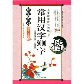 楷书成人大学生本儿童书法速成常用5000字帖小学生正楷练字帖