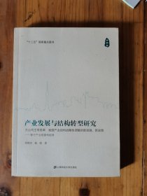 产业发展与结构转型研究：大公司主导变革 我国产业结构战略性调整的新思路、新政策 基于产业链重构视解