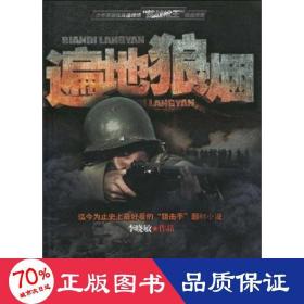 遍地狼煙 歷史、軍事小說(shuō) 李曉敏