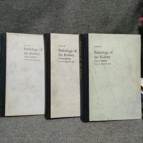 PATHOLOGY OF THE KIDNEY 肾脏病理学 第三版 全3卷