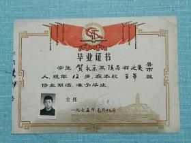 1975年  毕业证书   陕西省延安市凤凰小学 持证人：贺永乐