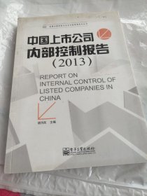 迪博内部控制与企业风险管理系列丛书：中国上市公司内部控制报告（2013）