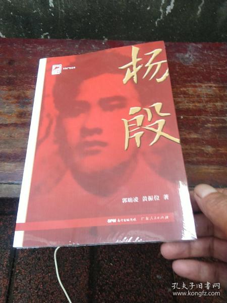 红色广东丛书：杨殷（庆祝中国共产党成立100周年！广东省委宣传部2021年主题出版重点出版物！）