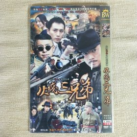 DVD-9 大型谍战电视连续剧 火线三兄弟 2碟装完整版