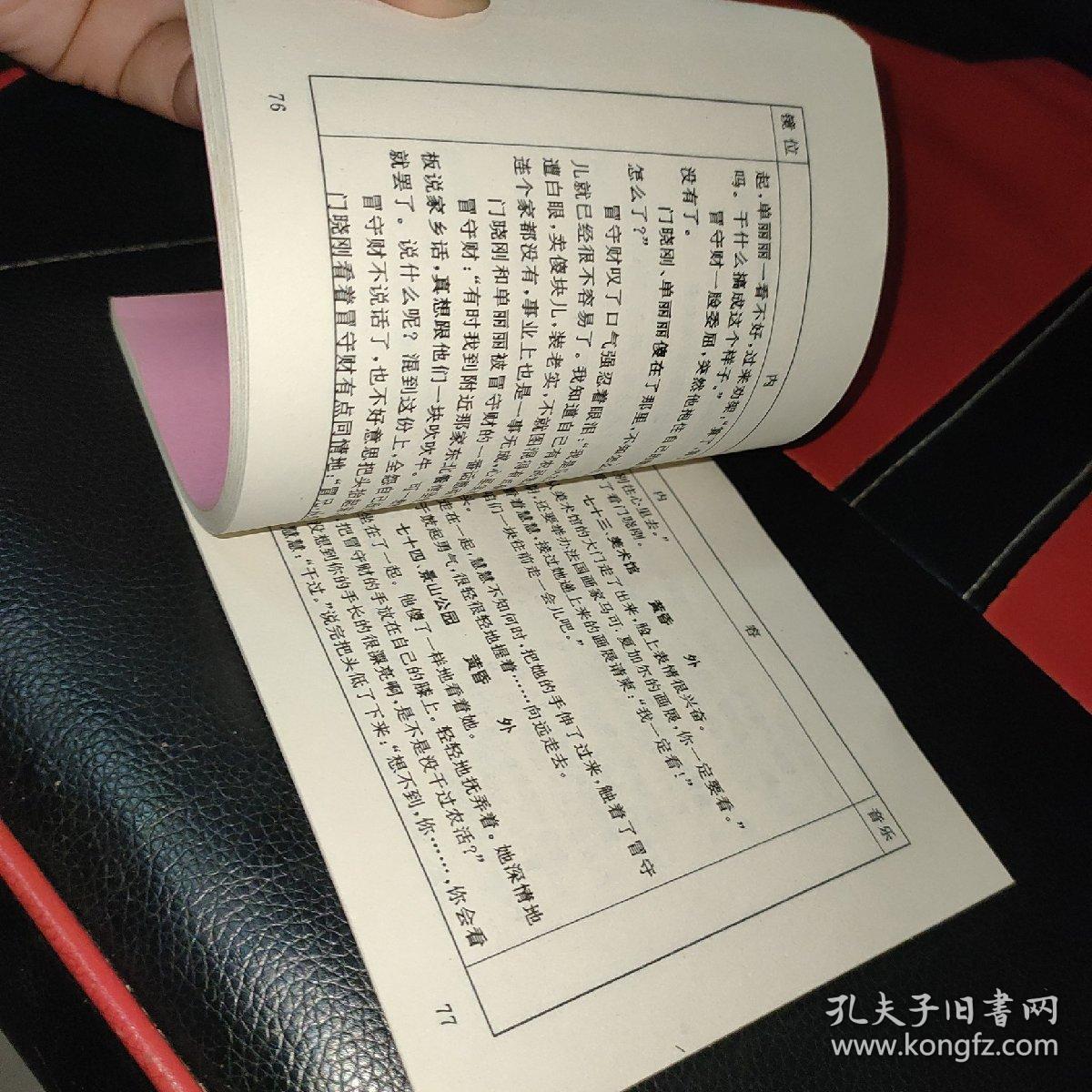 混在北京 导演工作本