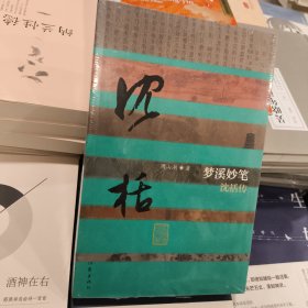 正版库存梦溪妙笔：沈括传