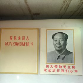 伟大领袖毛主席永远活在我们心中与周思来同志为共产主义事业光辉战斗的一生2本同售