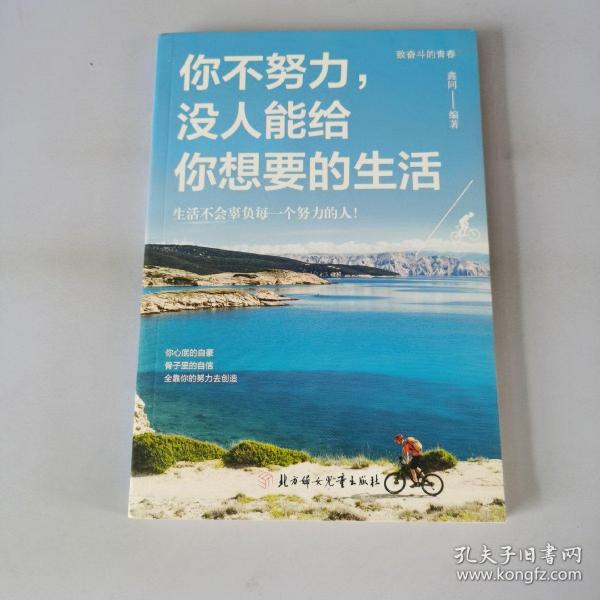 全10册励志书籍你不努力谁也给不了你想要的生活没伞的孩子必须努力奔跑青春文学励志书受益一生的十本书