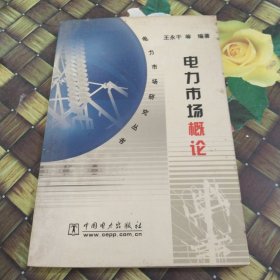 電力市場(chǎng)概論（電力市場(chǎng)研究叢書(shū)） 正版無(wú)筆跡