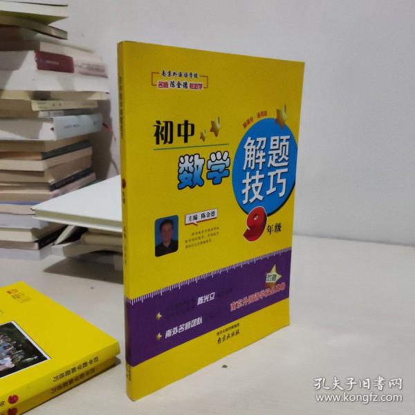 初中数学解题技巧（九年级 新课标 通用版）