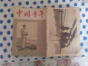 中国青年1954年13