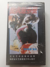 版本自辩 瑕疵 拆封 香港 犯罪 电影 1碟 VHS 龙虎智多星 利智 曾志伟 李修贤