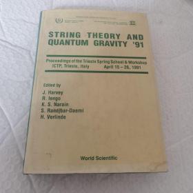 STRING THEORY AND QUANTUM GRAVITY '91