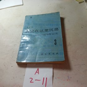 历史在这里沉思-----1966-1976年记实（第三卷）