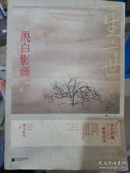 一生一世，黑白影画